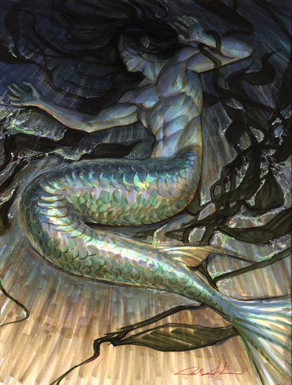 Sea King-27665 by Mindy Lee